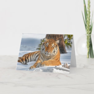 Tiger Helgdag Card Helgkort