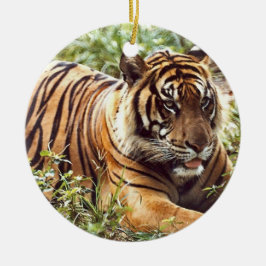 Tiger Helgdag Ornament