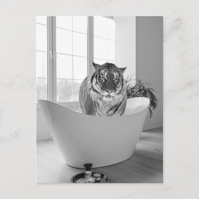 Tiger i Bathtub Black White Bathroom art Vykort (Framsida)