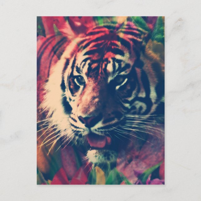 Tiger i Blommigten Fält Vykort (Framsida)