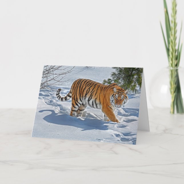 Tiger i Deep Snö Helgdag Card Helgkort (Framsida)