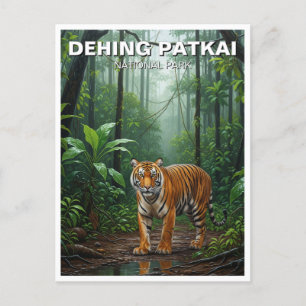 Tiger i Dehing Patkai National Park India Travel Vykort