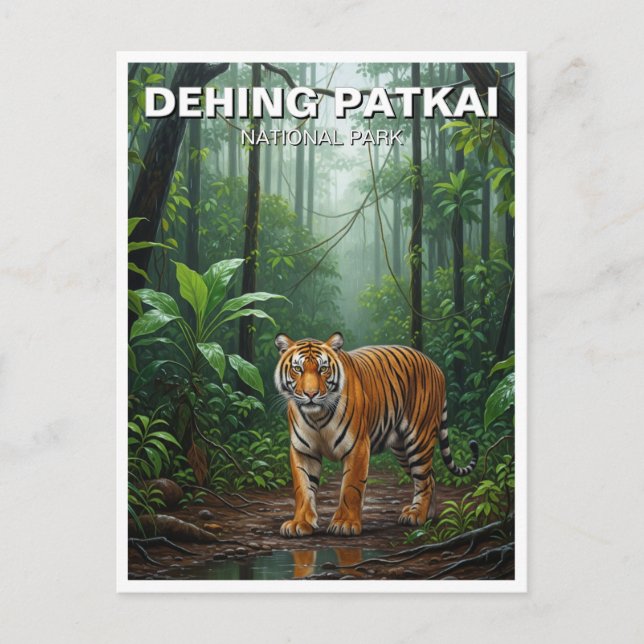 Tiger i Dehing Patkai National Park India Travel Vykort (Framsida)