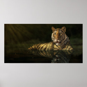 Tiger i den digitala målningen Vatten Poster