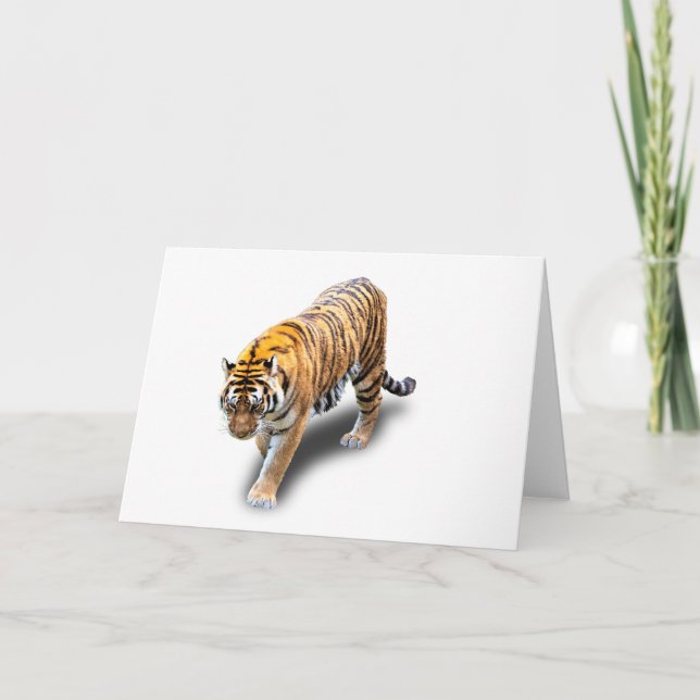 TIGER I DIN RIKTNING KORT (Framsida)