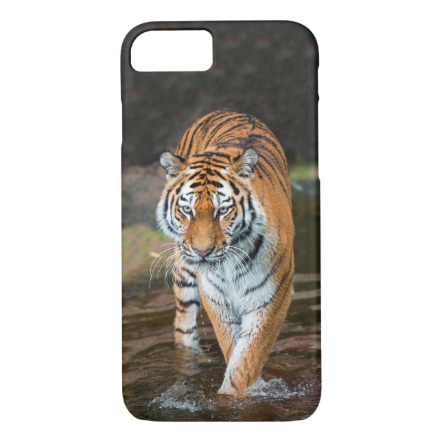 Tiger i floden Case-Mate iPhone skal (Baksida)