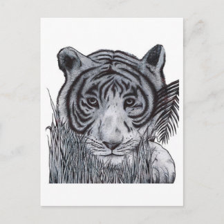Tiger i Grass Vykort