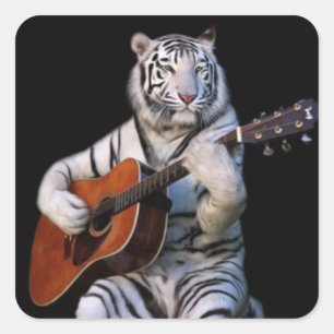 Tiger i mörkret – Minimalistisk dekal Fyrkantigt Klistermärke