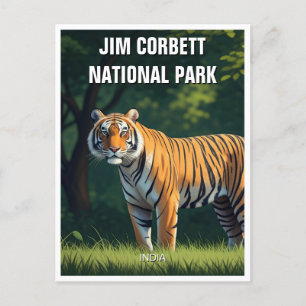 Tiger i nationalparken Jim Corbett Vykort