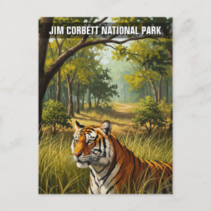 Tiger i nationalparken Jim Corbett Vykort