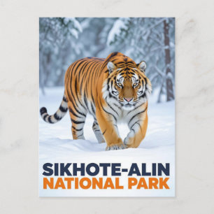 Tiger i Sikhote Alin nationalpark i Ryssland Vykort