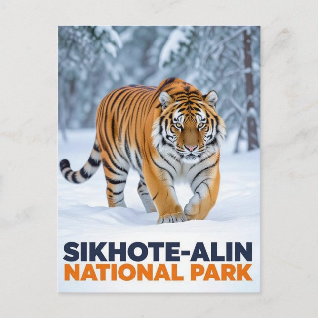 Tiger i Sikhote Alin nationalpark i Ryssland Vykort (Framsida)