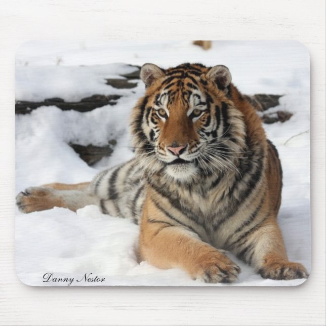 Tiger i snö musmatta (Framsidan)