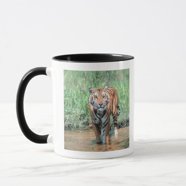 Tiger i vatten mugg (Vänster)
