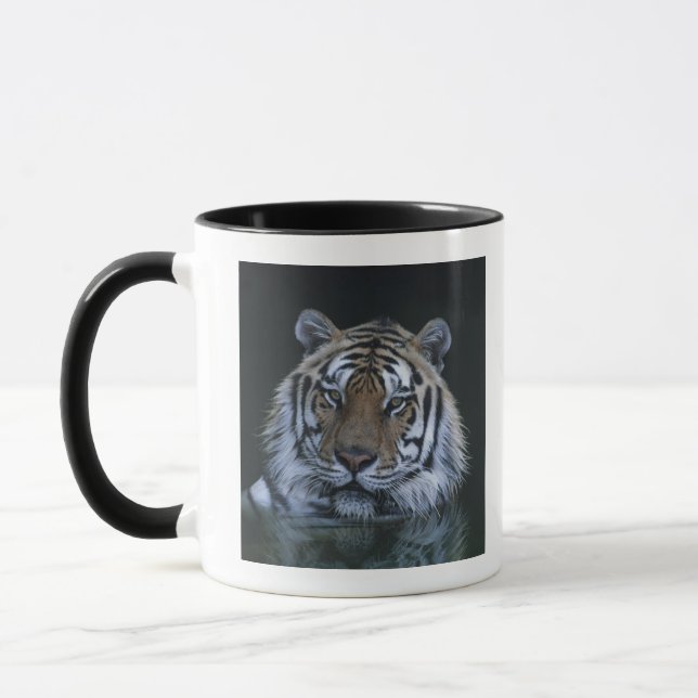 Tiger i vatten mugg (Vänster)