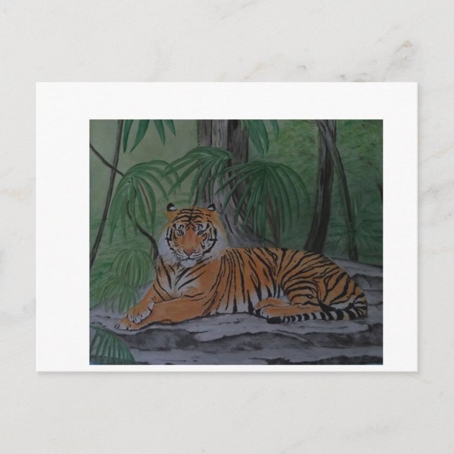 Tiger i viloläge vykort (Framsida)
