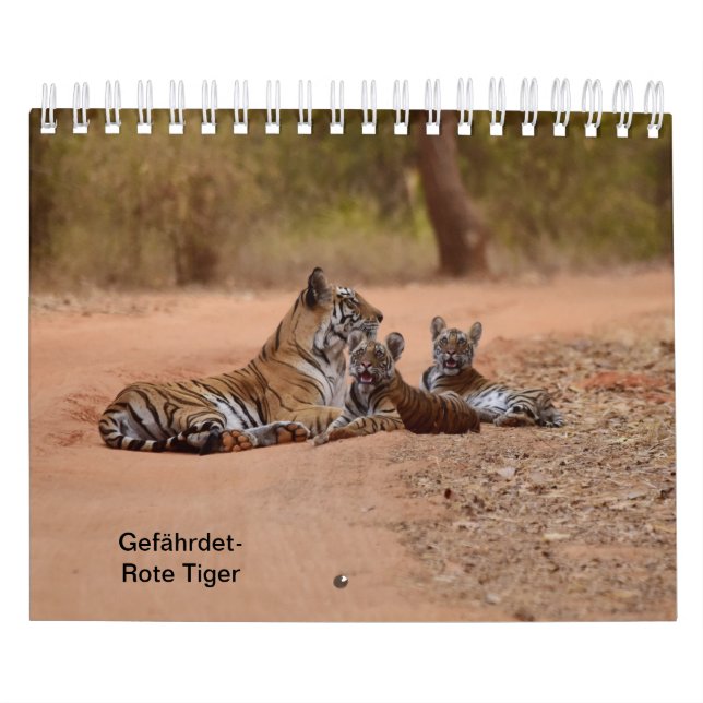 Tiger in Rot als Kalender (Omslag)