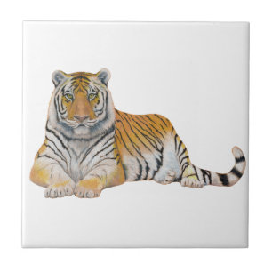 Tiger Kakelplatta