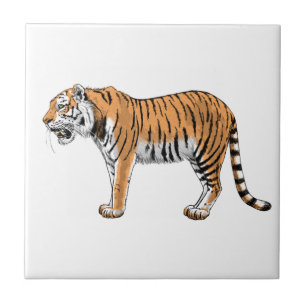 Tiger Kakelplatta