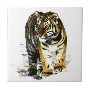 Tiger Kakelplatta