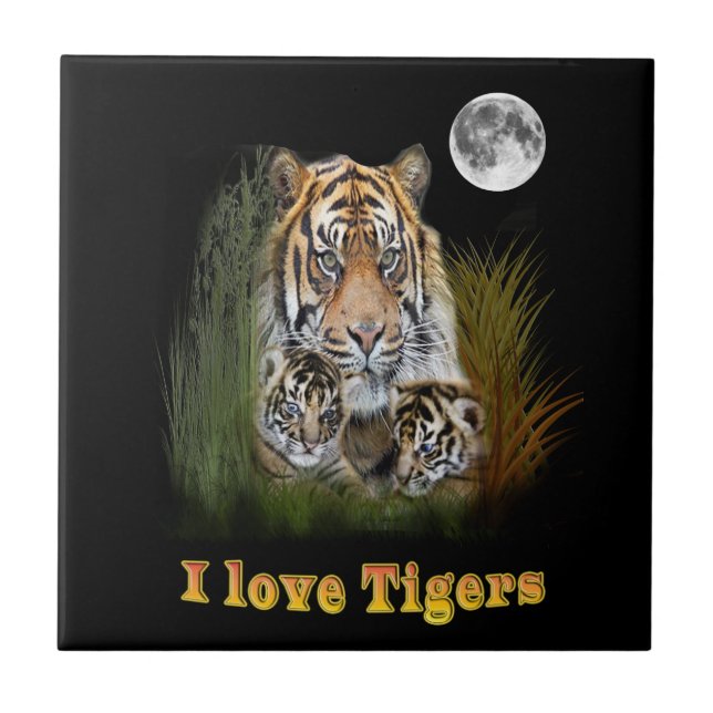 Tiger Kakelplatta (Framsidan)