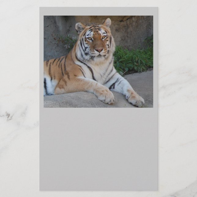 Tiger Kärlek Brevpapper (Framsida)