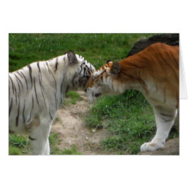 Tiger Kärlek Hälsningskort
