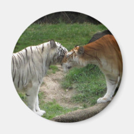 Tiger Kärlek Magnet