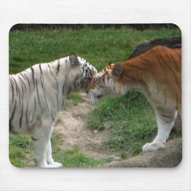 Tiger Kärlek Musmatta (Framsidan)