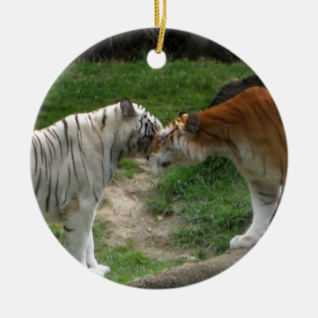 Tiger Kärlek Ornament ~ Tigers (Framsidan)