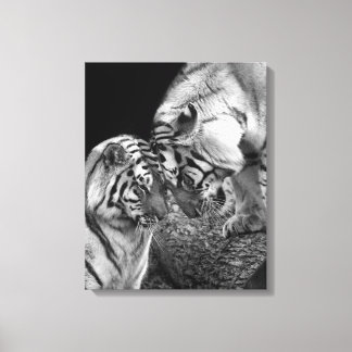 Tiger Kärlek Photo on Canvas Wrap