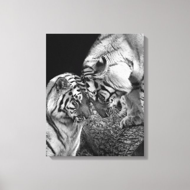 Tiger Kärlek Photo on Canvas Wrap (Framsida)
