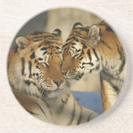 Tiger Kärlek Sandstone Underlägg