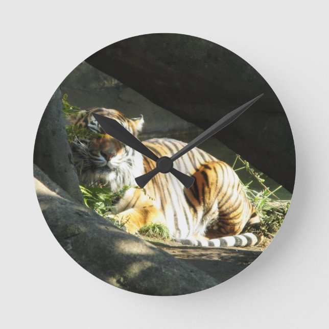 Tiger Kattlur Rund Klocka (Framsida)