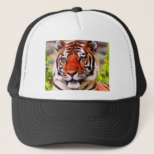 Tiger Keps
