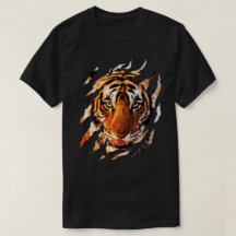 tiger klo-märken