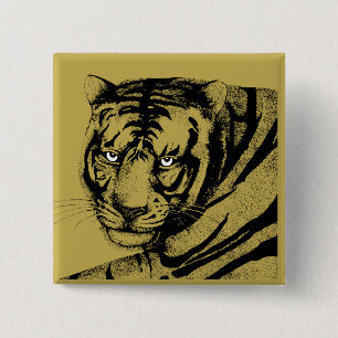 TIGER KNAPP