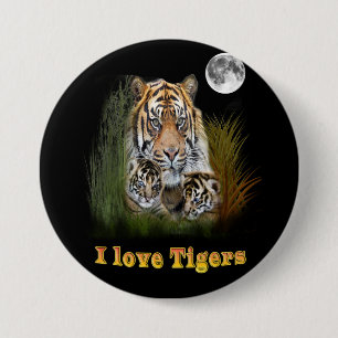 Tiger Knapp