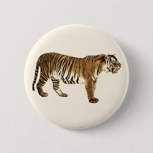 Tiger Knapp