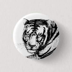TIGER KNAPP