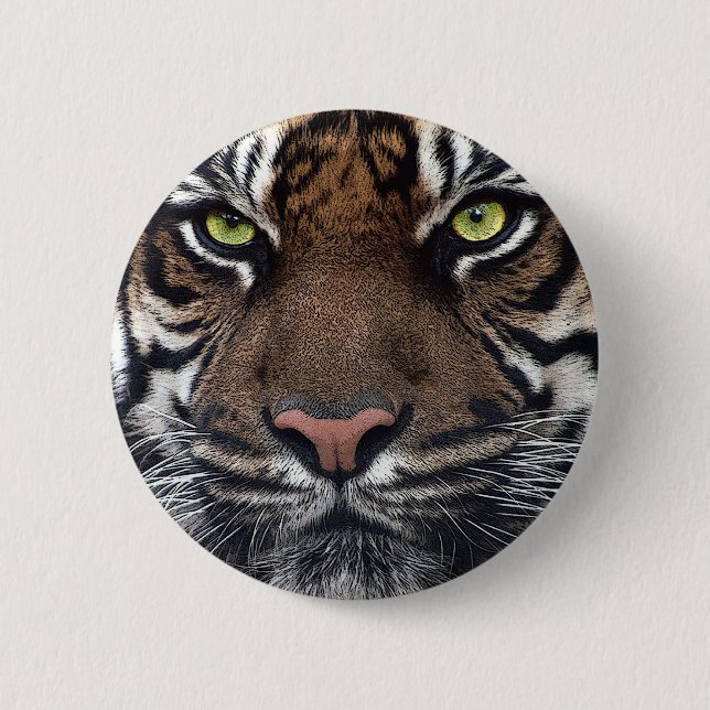 Tiger Knapp (Framsida)
