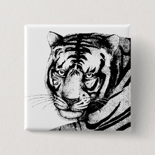 TIGER KNAPP