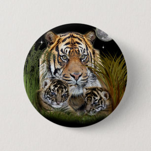 Tiger Knapp