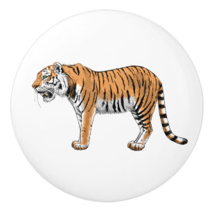 Tiger Knopp