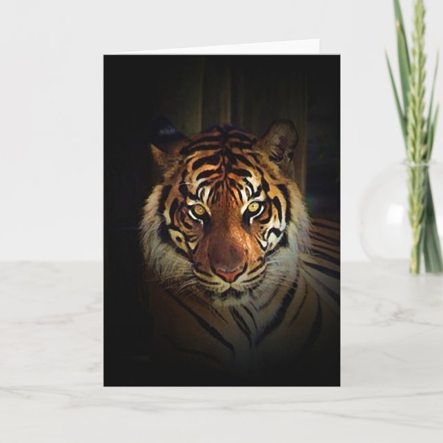 Tiger Kort (Framsida)