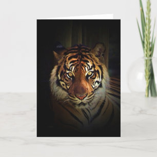 Tiger Kort
