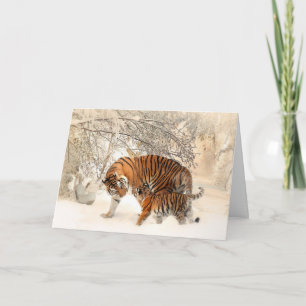 Tiger Kort