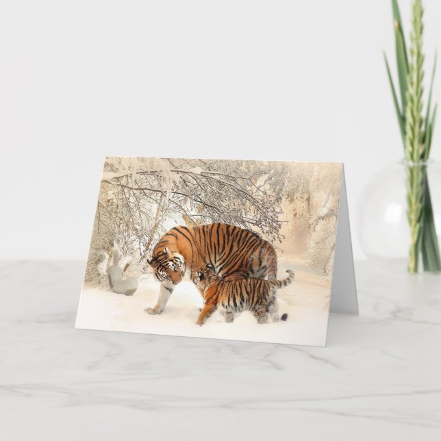 Tiger Kort (Framsida)
