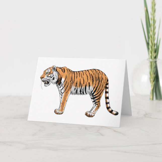 Tiger Kort (Framsida)