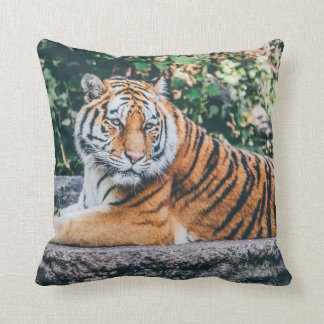 Tiger Kudde